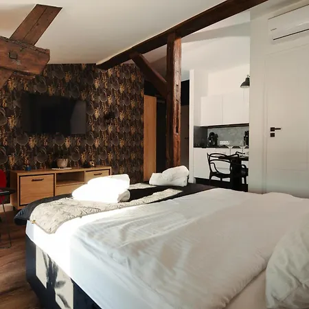 Ts Apartment Bydgoszcz